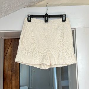 Lace crème shorts